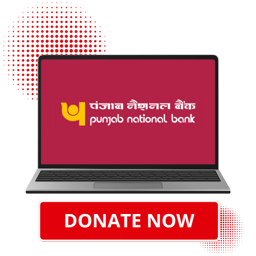 Punjab National Bank UPI Punjab National Bank UPI