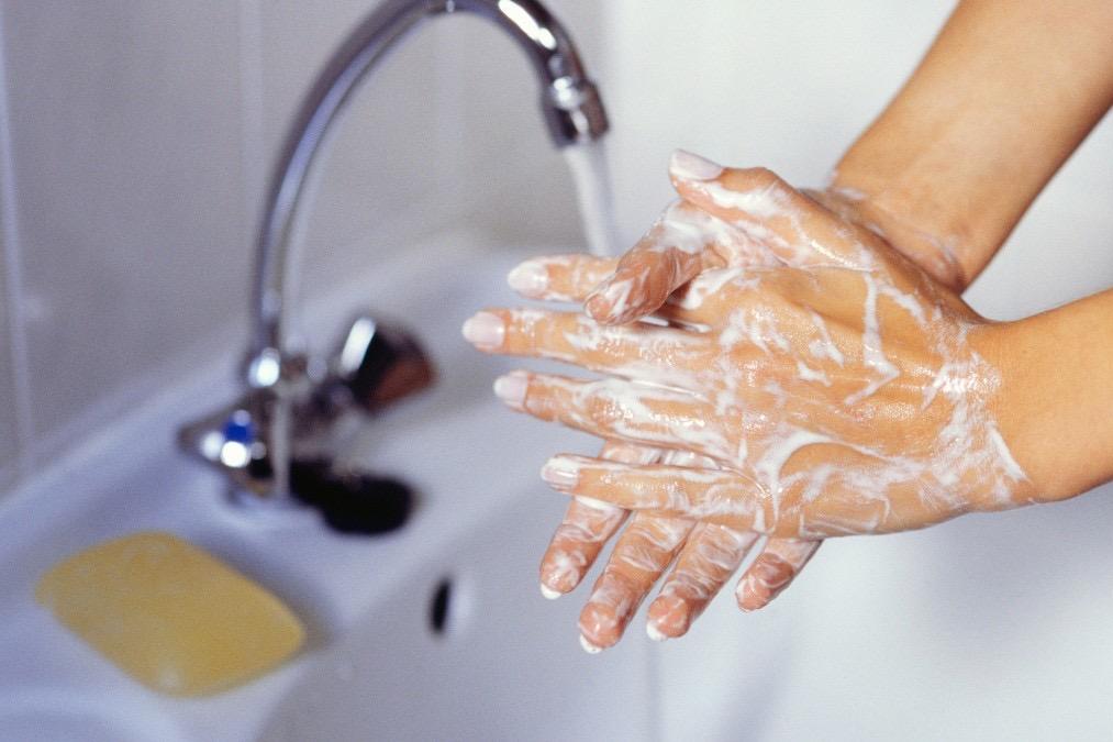 Sanitation Program Sanitation Program